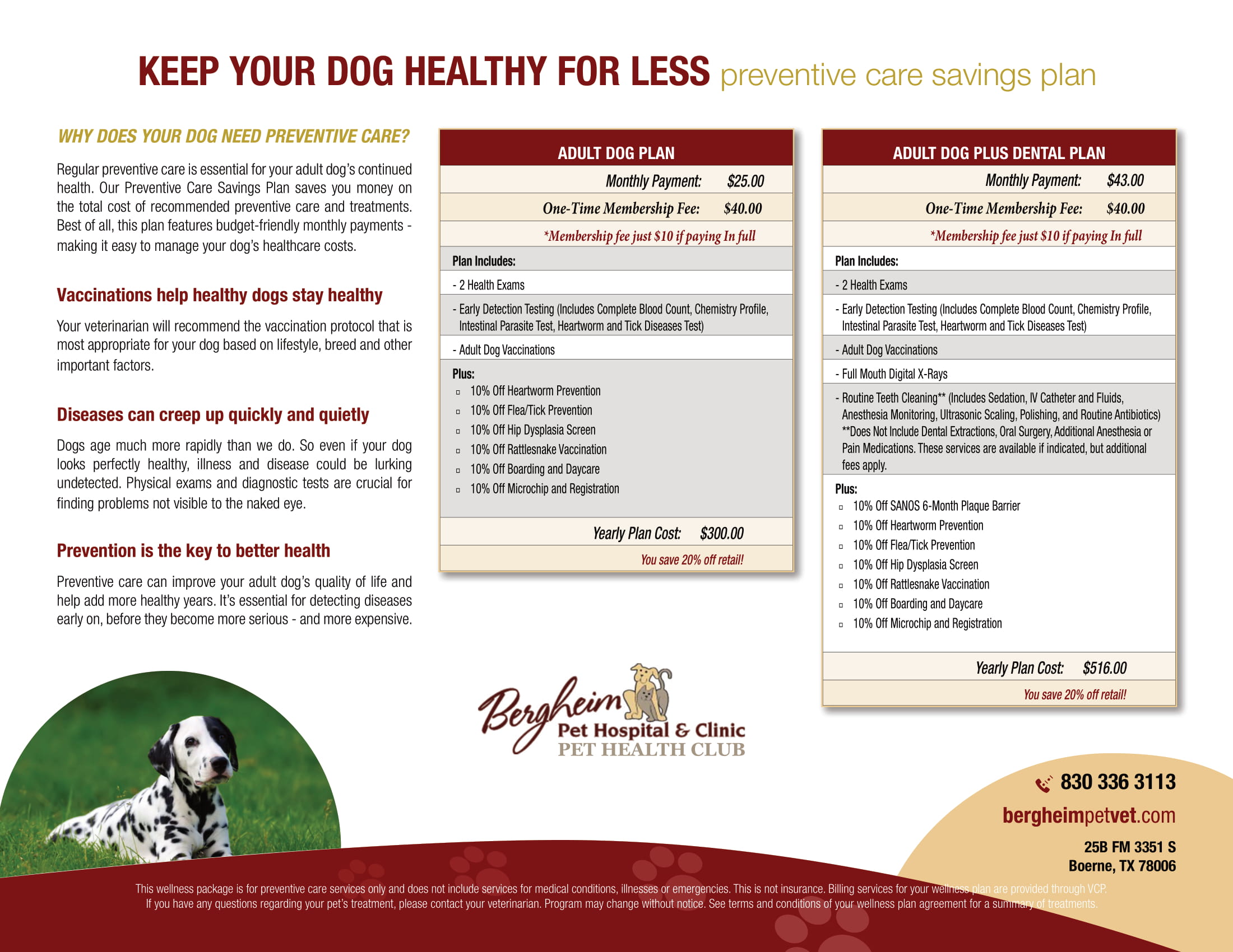 dog health plan